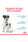 Корм для новонароджених собак ROYAL CANIN MINI STARTER 1 кг