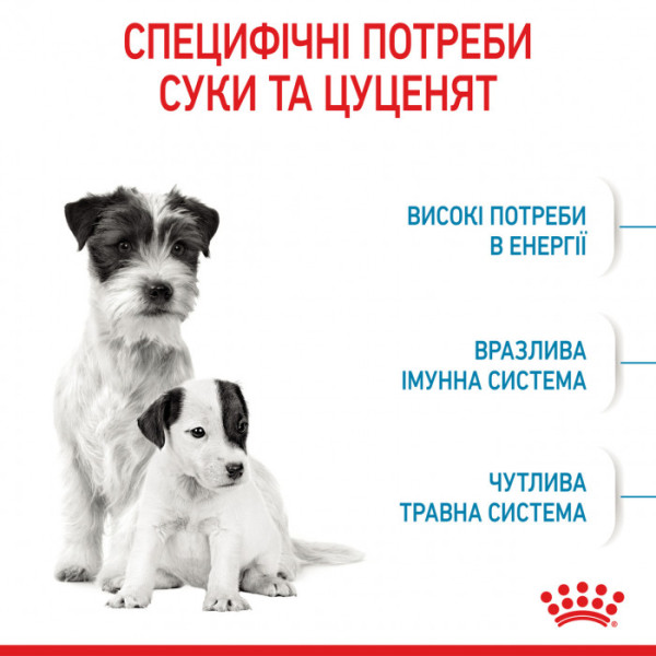 Корм для новонароджених собак ROYAL CANIN MINI STARTER 1 кг