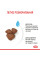 Корм для новонароджених собак ROYAL CANIN MINI STARTER 1 кг