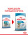 Корм для новонароджених собак ROYAL CANIN MINI STARTER 8 кг