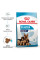 Корм для новонароджених собак ROYAL CANIN MAXI STARTER 4 кг