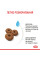 Корм для новонароджених собак ROYAL CANIN MAXI STARTER 4 кг