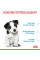 Корм для цуценят ROYAL CANIN MINI PUPPY 2 кг +контейнер!