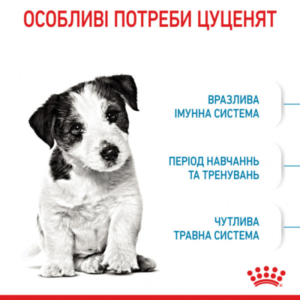 Корм для цуценят ROYAL CANIN MINI PUPPY 8 кг + 1 таблетка Бравекто 4,5-10 кг в подарунок!