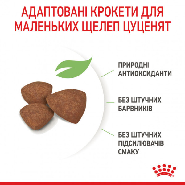 Корм для цуценят ROYAL CANIN MINI PUPPY 8 кг + 1 таблетка Бравекто 4,5-10 кг в подарунок!