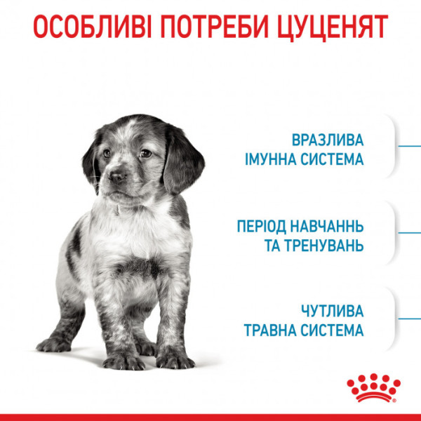 Корм для цуценят ROYAL CANIN MEDIUM PUPPY 4 кг+контейнер!