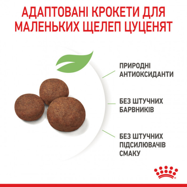 Корм для цуценят ROYAL CANIN MEDIUM PUPPY 4 кг+контейнер!