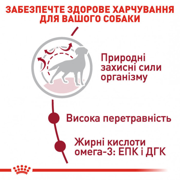 Корм для дорослих собак ROYAL CANIN MEDIUM ADULT 15 кг + 1 таблетка Бравекто 10-20 кг в подарунок!