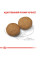Корм для дорослих собак ROYAL CANIN MEDIUM ADULT 15 кг + 1 таблетка Бравекто 10-20 кг в подарунок!