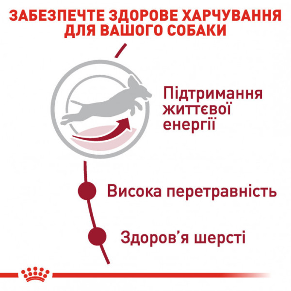Корм для дорослих собак ROYAL CANIN MEDIUM ADULT 7+ 15 кг