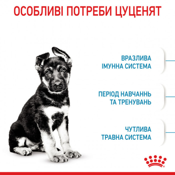 Корм для цуценят ROYAL CANIN MAXI PUPPY 4.0 кг + контейнер в подарунок!