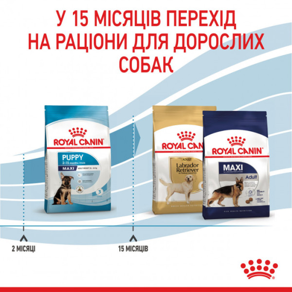 Корм для цуценят ROYAL CANIN MAXI PUPPY 4.0 кг + контейнер в подарунок!
