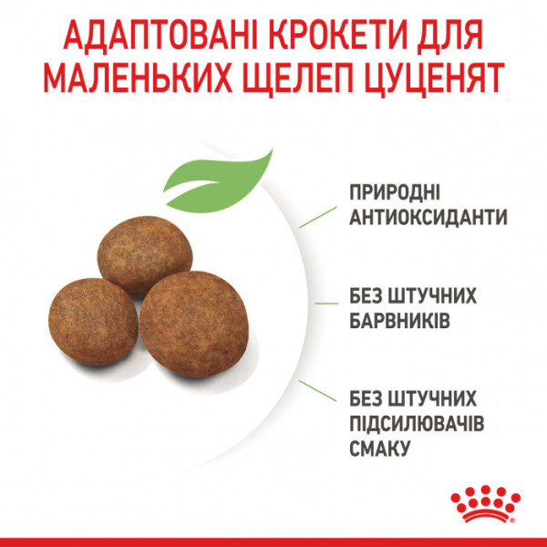 Корм для цуценят ROYAL CANIN MAXI PUPPY 15 кг + 1 таблетка Бравекто 20-40 кг в подарунок!