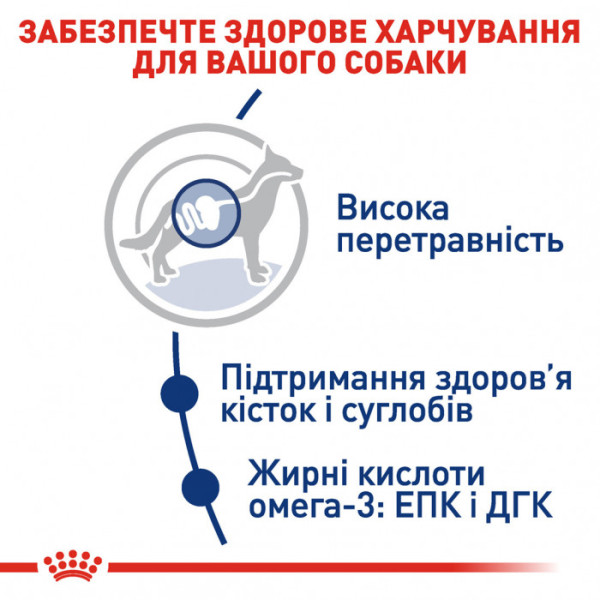 Корм для дорослих собак ROYAL CANIN MAXI ADULT 15 кг + 1 таблетка Бравекто 20-40 кг в подарунок!