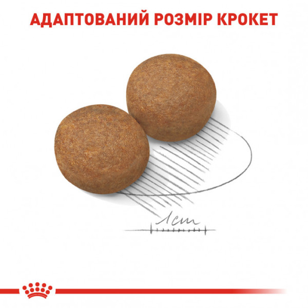 Корм для дорослих собак ROYAL CANIN MAXI ADULT 15 кг + 1 таблетка Бравекто 20-40 кг в подарунок!