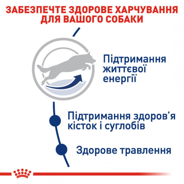 Корм для дорослих собак ROYAL CANIN MAXI ADULT 5+ 15 кг
