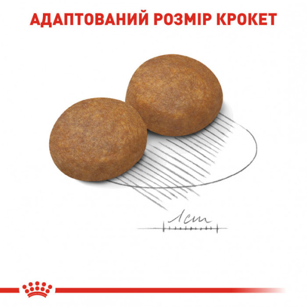 Корм для дорослих собак ROYAL CANIN MAXI ADULT 5+ 15 кг