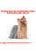 Корм для дорослих собак ROYAL CANIN YORKSHIRE ADULT 1.5 кг
