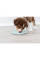 Купить Миска коврик Trixie Junior для медленного кормления щенков ⌀=21 см