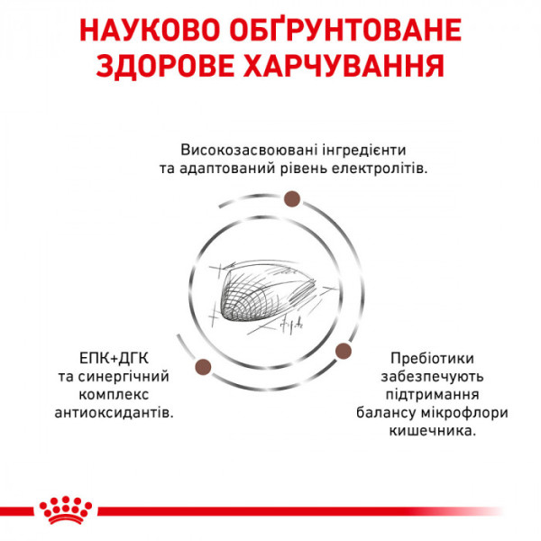 Корм для дорослих котів ROYAL CANIN GASTRO INTESTINAL CAT 400 г
