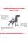 Корм для дорослих собак ROYAL CANIN HYPOALLERGENIC DOG  2 кг