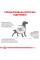 Корм для дорослих собак ROYAL CANIN GASTRO INTESTINAL LOW FAT DOG 6 кг