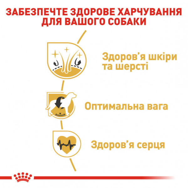 Корм для дорослих собак ROYAL CANIN COCKER ADULT 3.0 кг