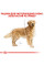 Корм для дорослих собак ROYAL CANIN GOLDEN RETRIEVER ADULT 12 кг