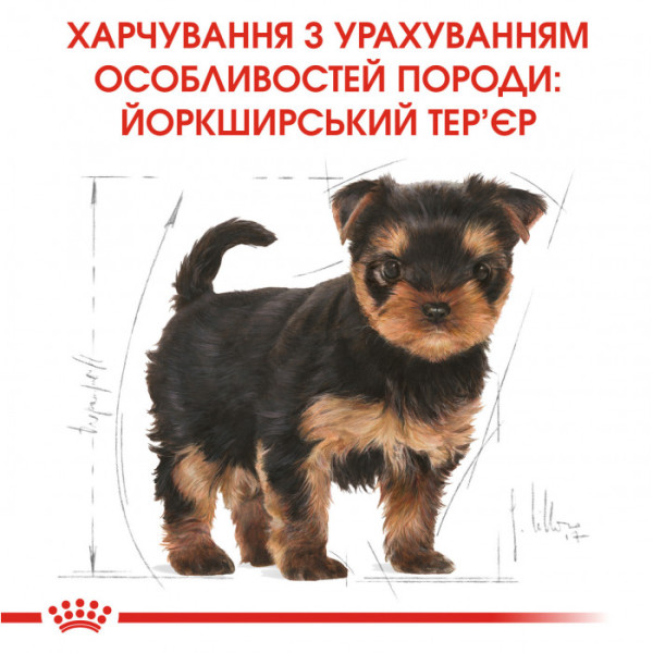 Корм для цуценят ROYAL CANIN YORKSHIRE PUPPY 500 г