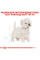 Корм для дорослих собак ROYAL CANIN WESTIE ADULT 3 кг