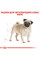 Корм для дорослих собак ROYAL CANIN PUG ADULT 1.5 кг