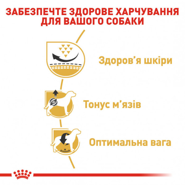 Корм для дорослих собак ROYAL CANIN PUG ADULT 1.5 кг