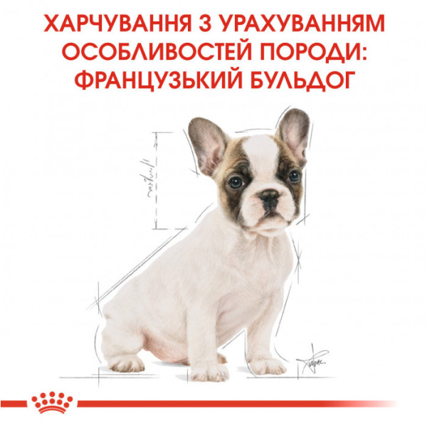 Корм для цуценят ROYAL CANIN FRENCH BULLDOG PUPPY 1 кг