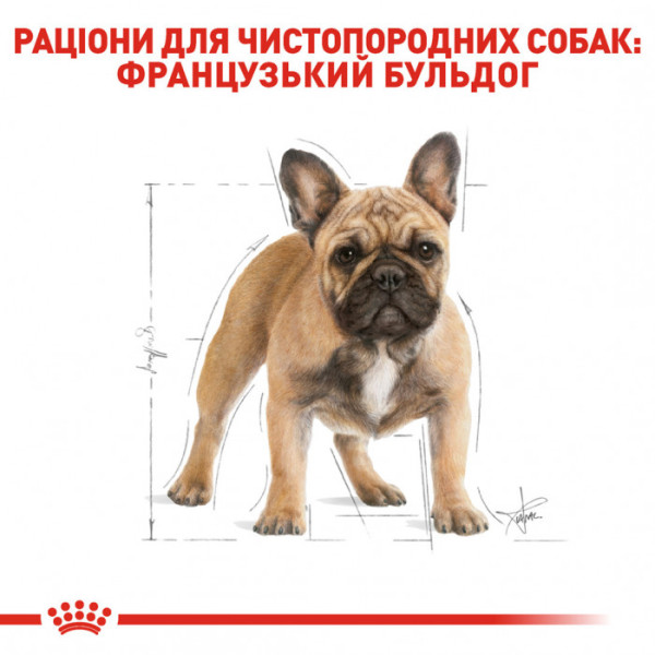 Корм для дорослих собак ROYAL CANIN FRENCH BULLDOG ADULT 1.5 кг