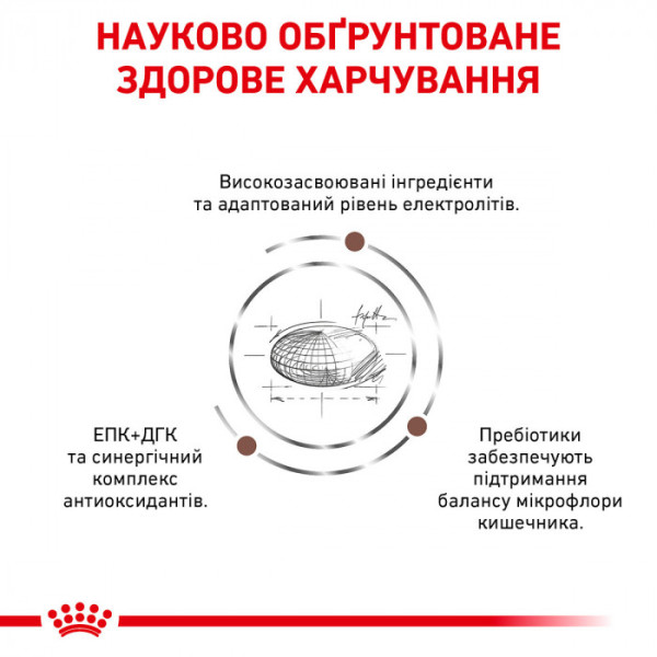 Корм для дорослих котів ROYAL CANIN GASTRO INTESTINAL MODERATE CALORIE CAT 4 кг