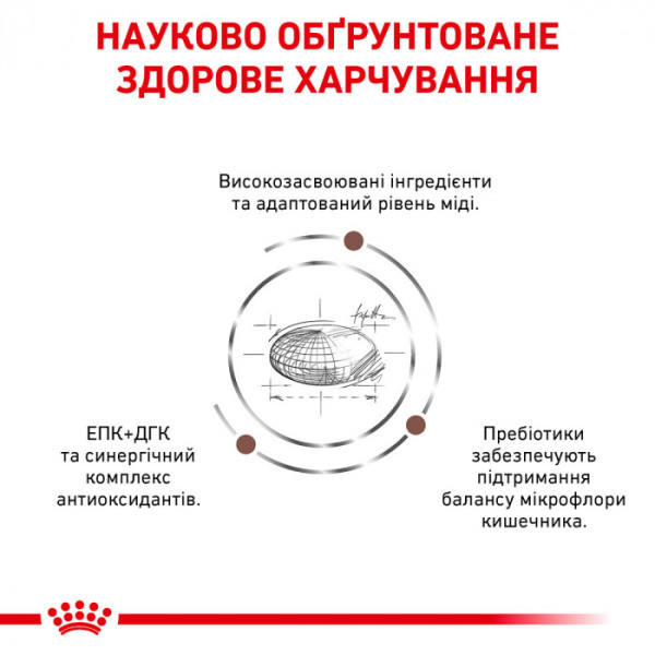 Сухий корм для котів, при захворюваннях печінки Royal Canin Hepatic 4 кг (домашній птах)
