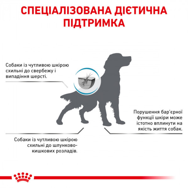 Корм для дорослих собак ROYAL CANIN SKIN CARE ADULT DOG 2 кг