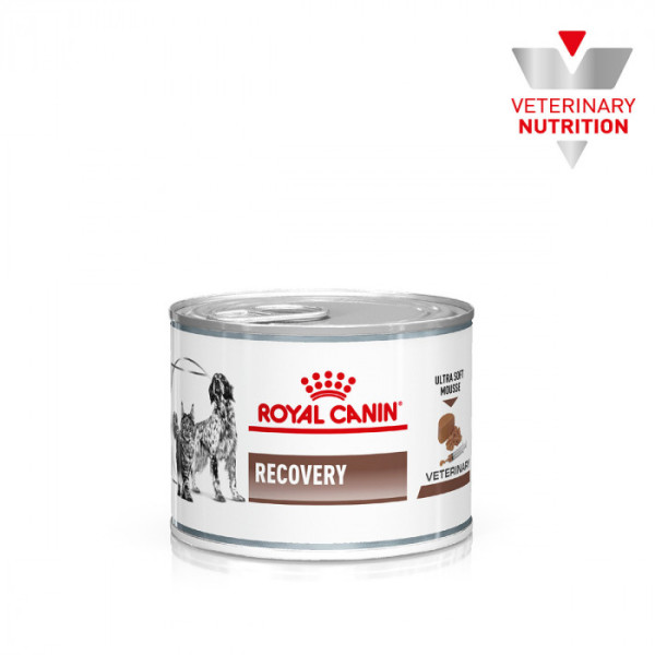 Вологий корм для котів та собак в реабілітаційний період Royal Canin Recovery 195 г * 12 шт