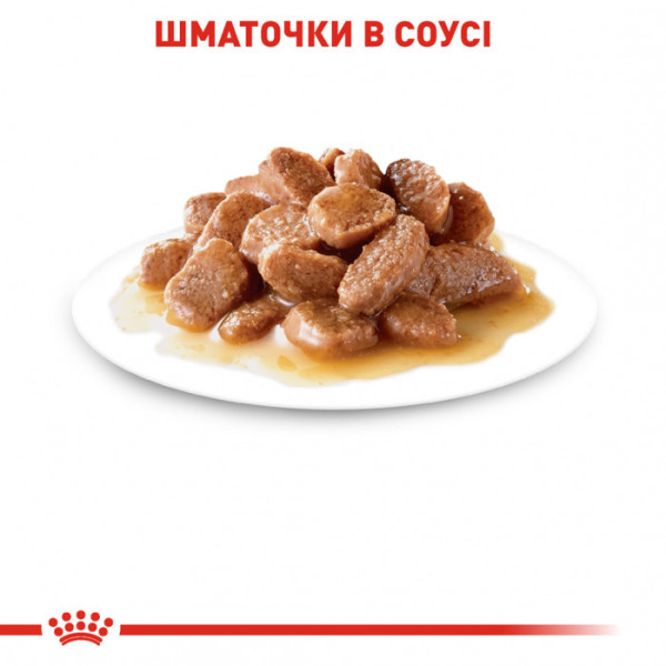Вологий корм для дорослих котів ROYAL CANIN INSTINCTIVE IN GRAVY 85 кг * 12 шт блок
