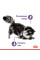 Вологий корм для дорослих котів ROYAL CANIN LIGHT WEIGHT CARE шматочки в соусі 85 г * 12 шт блок