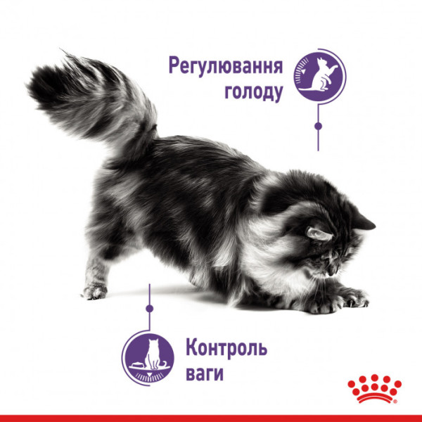Вологий корм для дорослих котів ROYAL CANIN LIGHT WEIGHT CARE шматочки в соусі 85 г * 12 шт блок