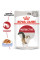 Вологий корм для дорослих котів ROYAL CANIN INSTINCTIVE IN JELLY 85 г * 12 шт блок