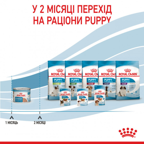 Вологий корм для новонароджених собак ROYAL CANIN STARTER MOUSE 195 г