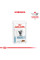Акція! Вологий корм для дорослих котів ROYAL CANIN SKIN&COAT CAT Pouches 0.085 кг 8шт+4шт в подарунок