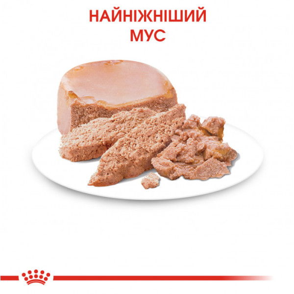 Вологий корм для новонароджених кошенят ROYAL CANIN MOTHER & BABYCAT Cans 195 г