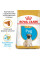 Корм для цуценят ROYAL CANIN PUG PUPPY 1.5 кг