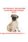 Корм для цуценят ROYAL CANIN PUG PUPPY 1.5 кг