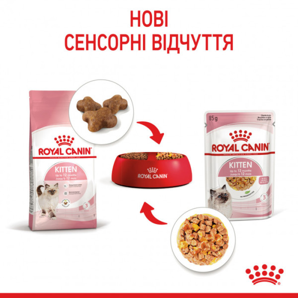 Вологий корм для кошенят ROYAL CANIN KITTEN IN JELLY 85 г * 12 шт