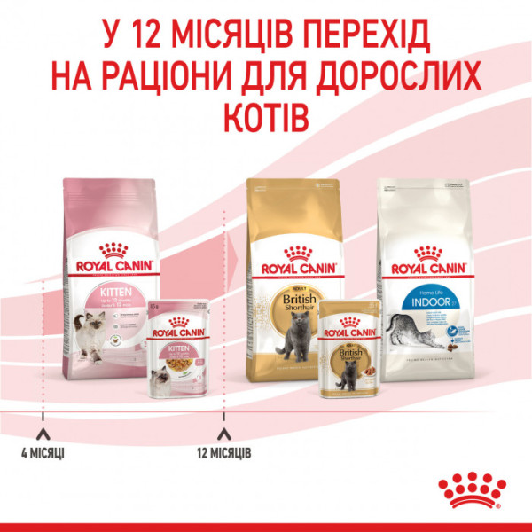 Вологий корм для кошенят ROYAL CANIN KITTEN IN JELLY 85 г * 12 шт