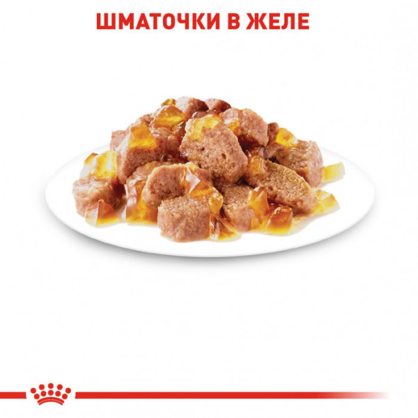 Вологий корм для дорослих  котів ROYAL CANIN INTENSE BEAUTY IN JELLY 85 г * 12 шт блок